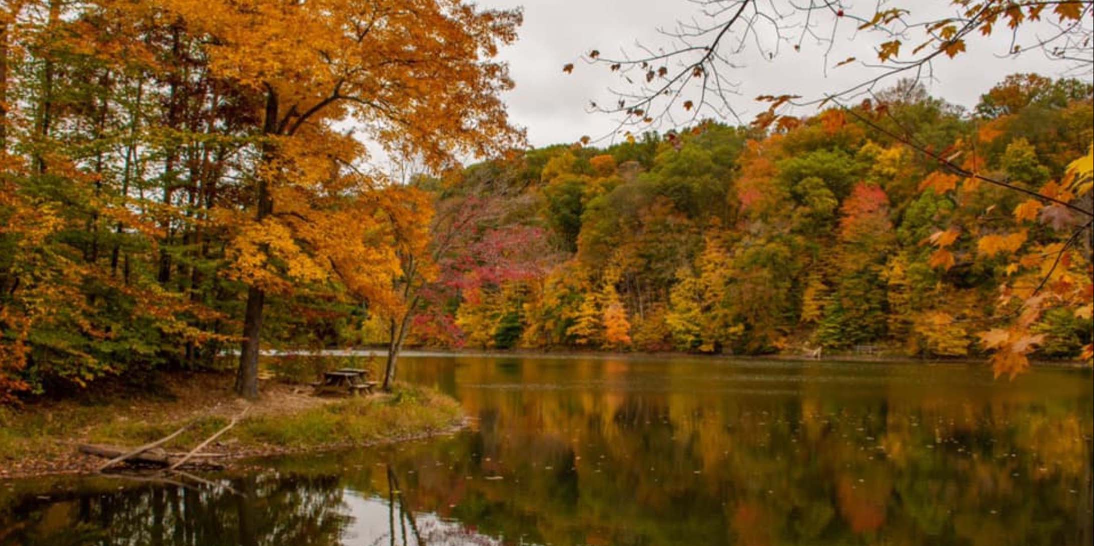 Stepping into the Autumn Hues: A Vibrant Guide to Hiking in Brown County State Park