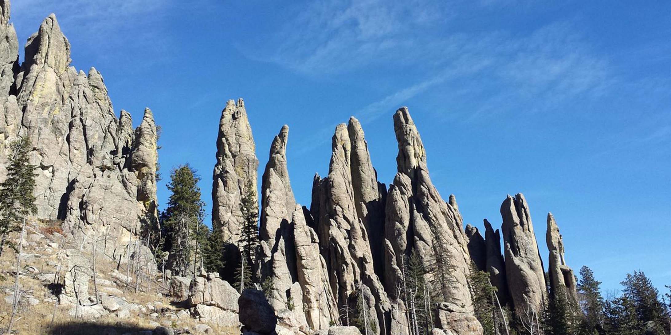 Custer State Park: A Wilderness Wonderland in South Dakota