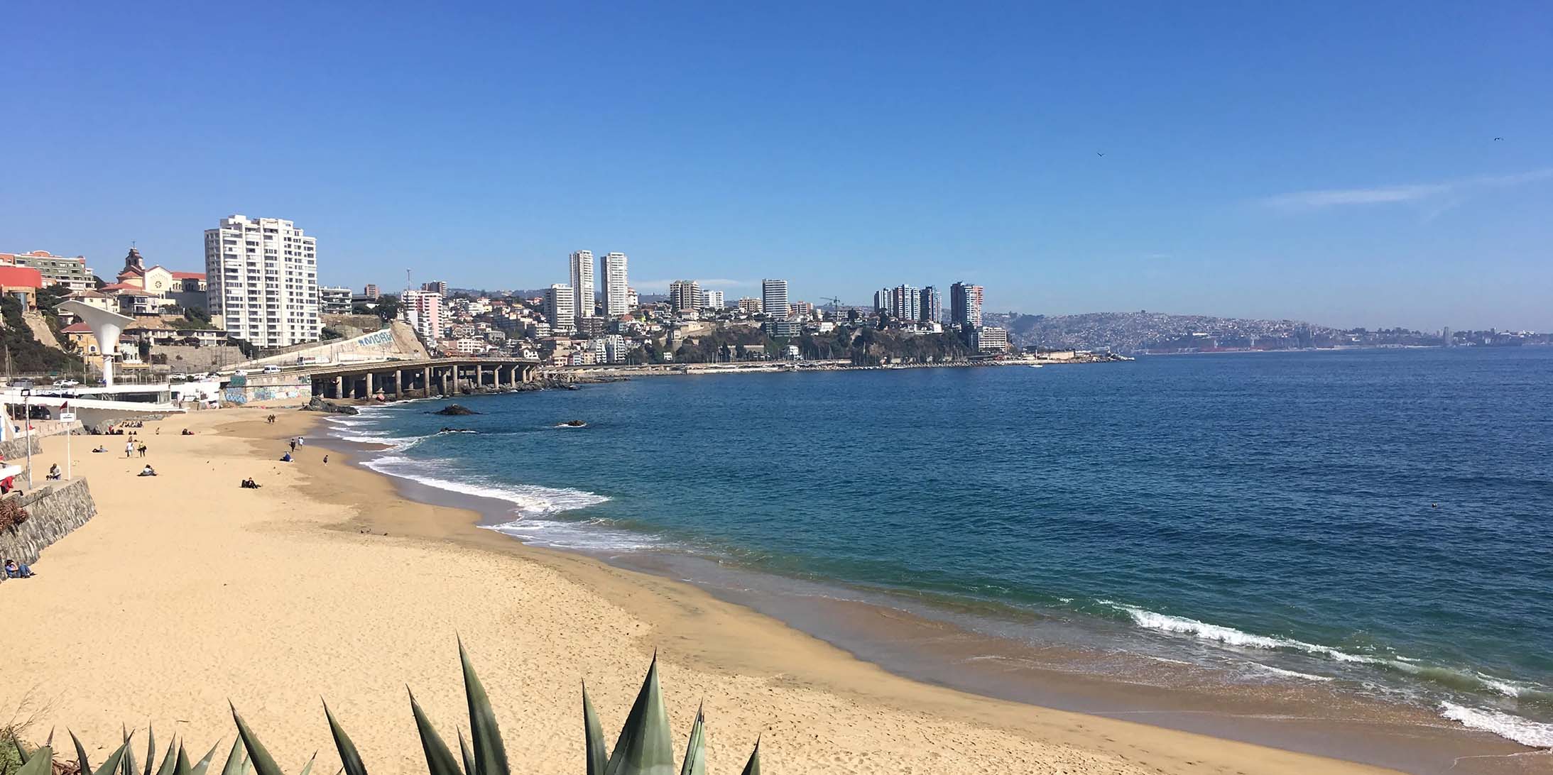 Reveling in Viña Del Mar’s Coastal Adventures