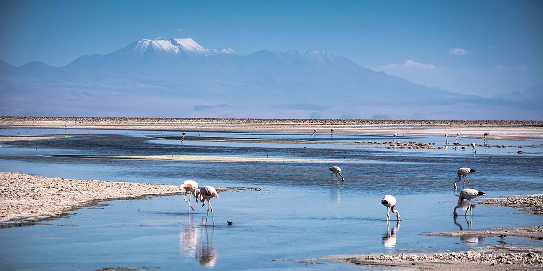 Embarking on a Celestial Journey: Exploring the Enchanting Beauty of Laguna Chaxa in Salar de Atacama